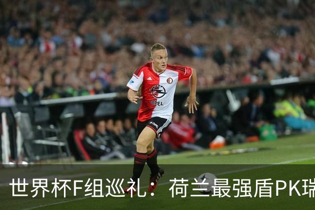 世界杯F组巡礼：荷兰最强盾PK瑞典犀利刀 日本短板明显